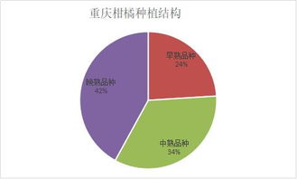 柑橘市场调研 重庆柑橘的辉煌历史、效益困境与崛起之路